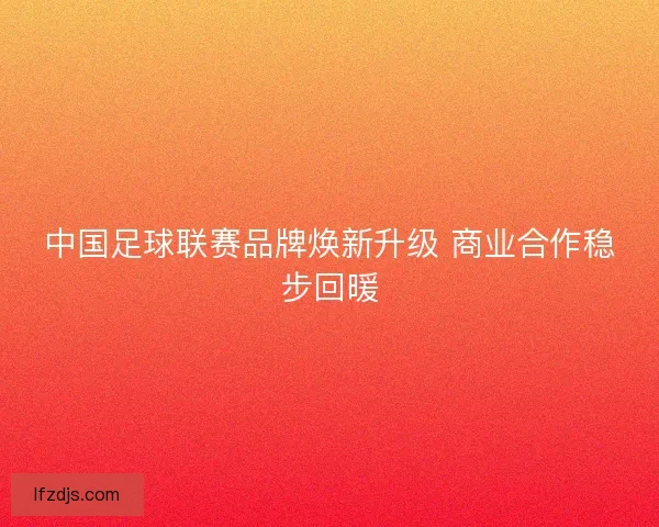 中国足球联赛品牌焕新升级 商业合作稳步回暖